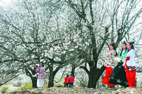球帝带官网 体育赛事实时数据平台